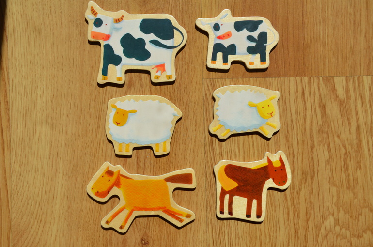 Магниты, магнитики.. (Djeco, Janod, Sentosphere)