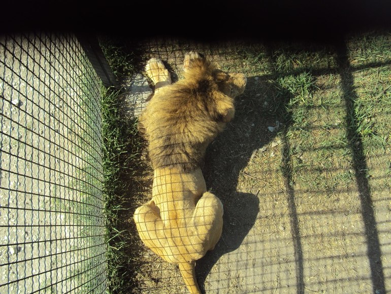 Мой красивый Крым! Добро пожаловать!