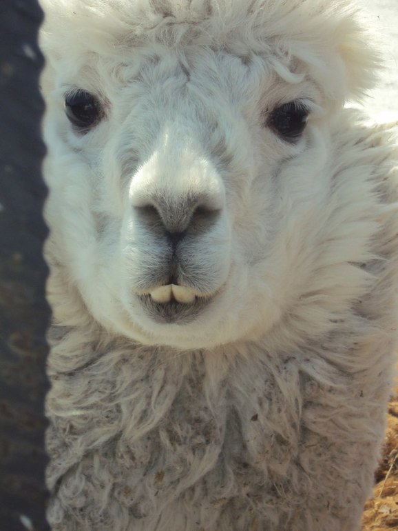 Мой красивый Крым! Добро пожаловать!