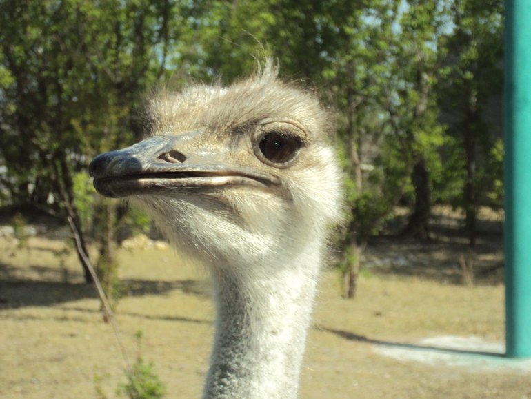 Мой красивый Крым! Добро пожаловать!