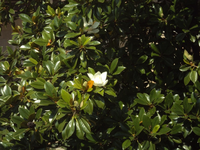 Мой красивый Крым! Добро пожаловать!