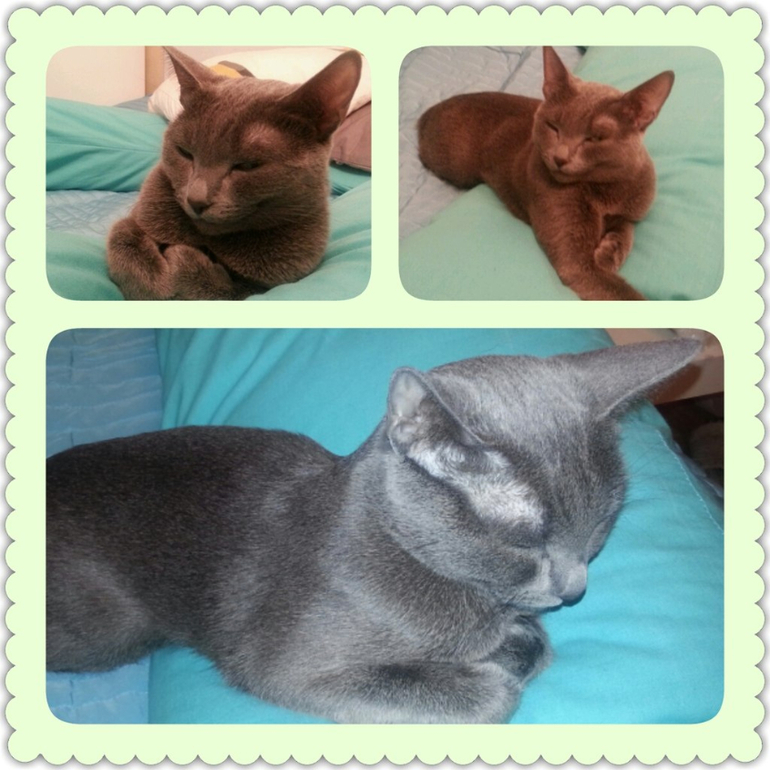 37-я! Отчет...