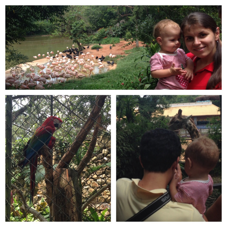 Зоопарк