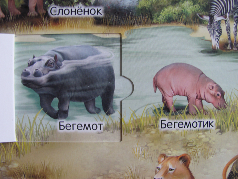Животные -любимая книжка с окошками, НЕ АРКЕБУС))