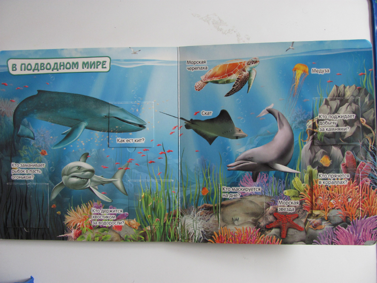 Животные -любимая книжка с окошками, НЕ АРКЕБУС))