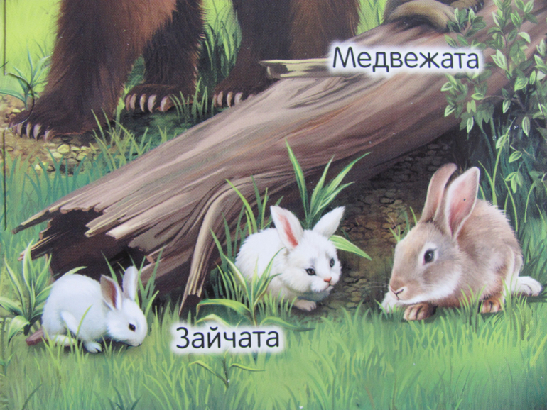 Животные -любимая книжка с окошками, НЕ АРКЕБУС))