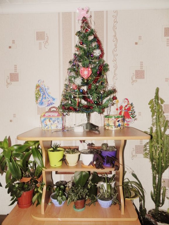 Вот он,счастливый день)))