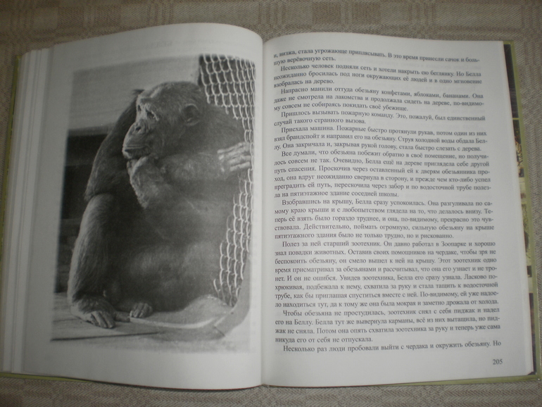 Наша Чаплина