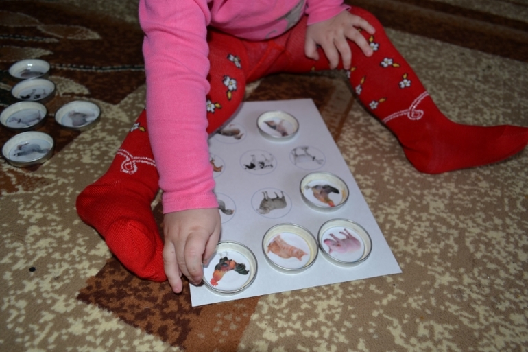 ТЗ Поросенок