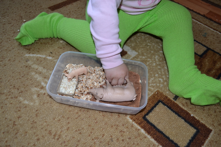 ТЗ Поросенок