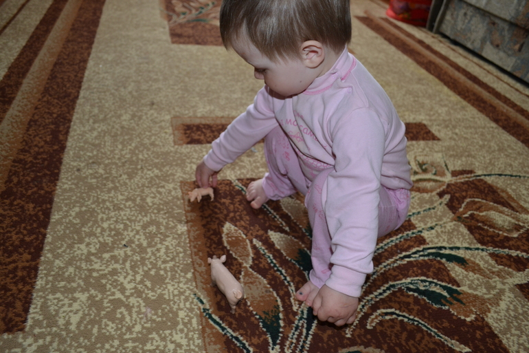 ТЗ Поросенок