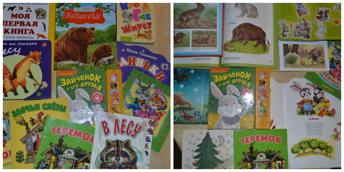 ТН Лесные друзья. День 3 ЗАЯЦ