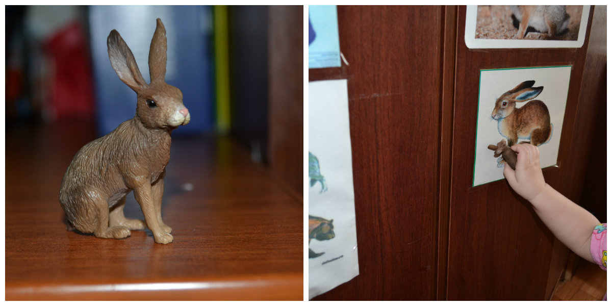 ТН Лесные друзья. День 3 ЗАЯЦ