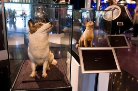 Мемориальный музей космонавтики