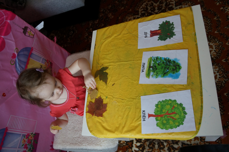 ТН Деревья первый день