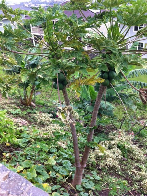 Взлет 72 Шаг 21