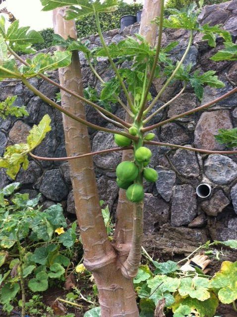 Взлет 72 Шаг 21