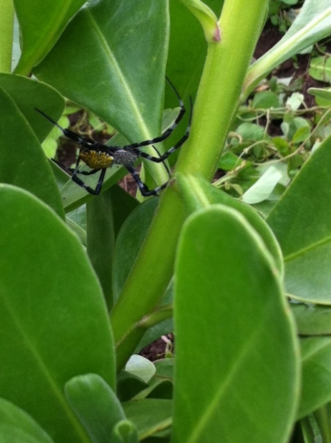 Взлет 72 Шаг 21