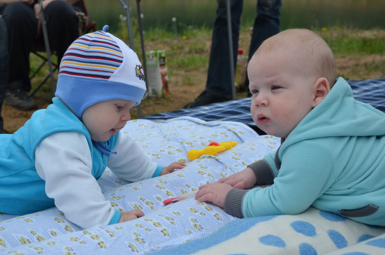 Полугодовасие