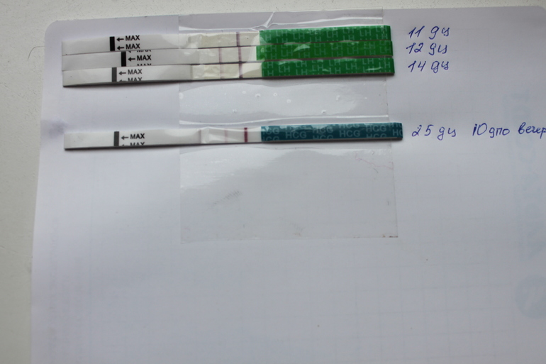 Получилось? (Пока не поздравляем, рано)