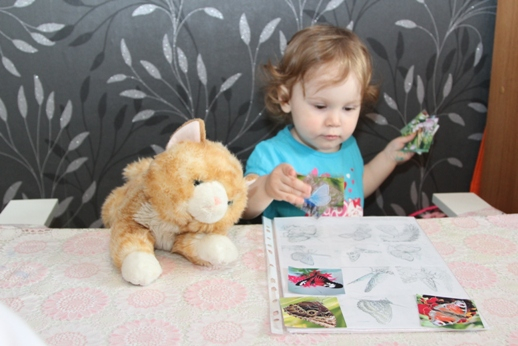 ТЗ "Бабочки-красавицы" в проекте "Гуляем-изучаем".