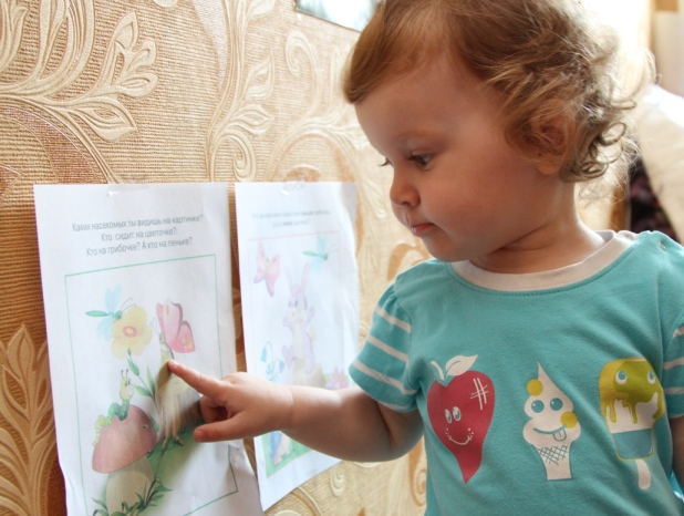 Отчет по ТН "Насекомые" . День 1 - Бабочка