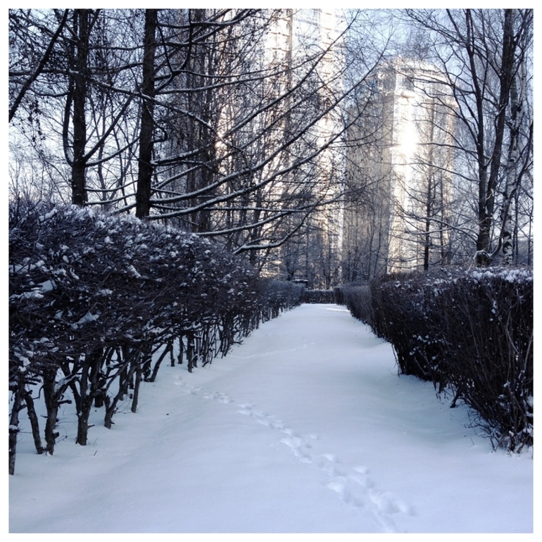 Роды в 3м роддоме (Москва)