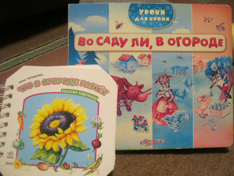 Чиполлино:)