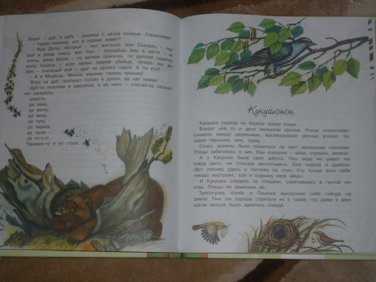 Сегодня к нам приехали...