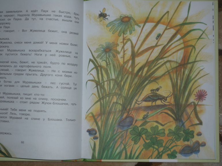 Сегодня к нам приехали...