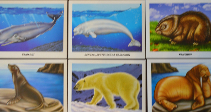 Обзор карточек