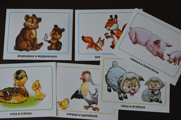 Обзор карточек