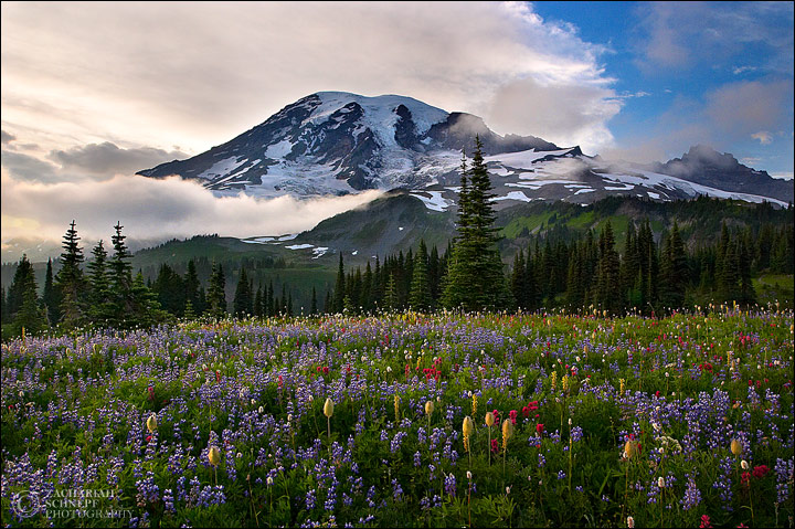 Скоро сказка сказывается...