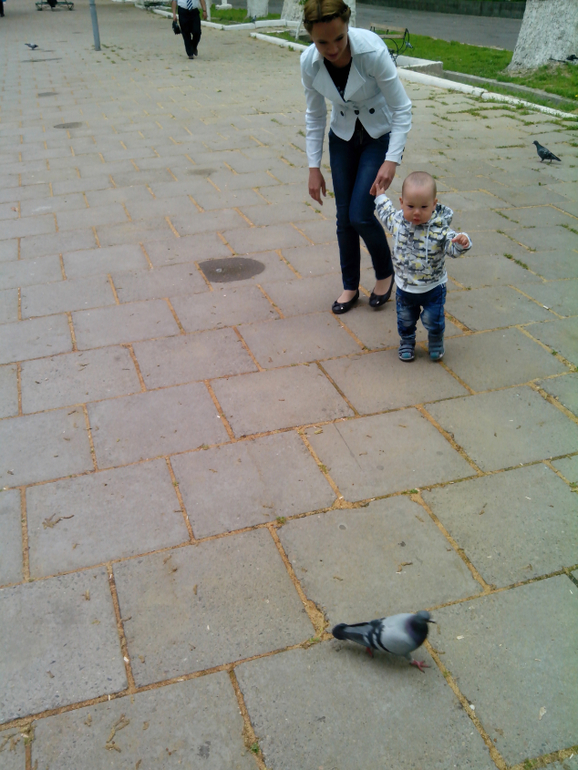 2 АКДС, голуби и 1 родинка