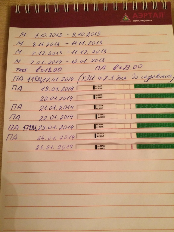 Овуляция, нужен совет