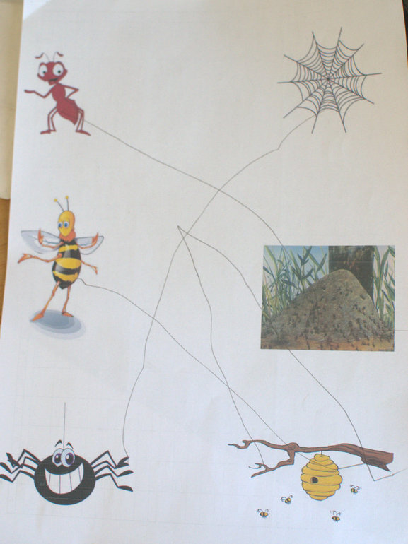 ТЗ "На балу у сверчка"