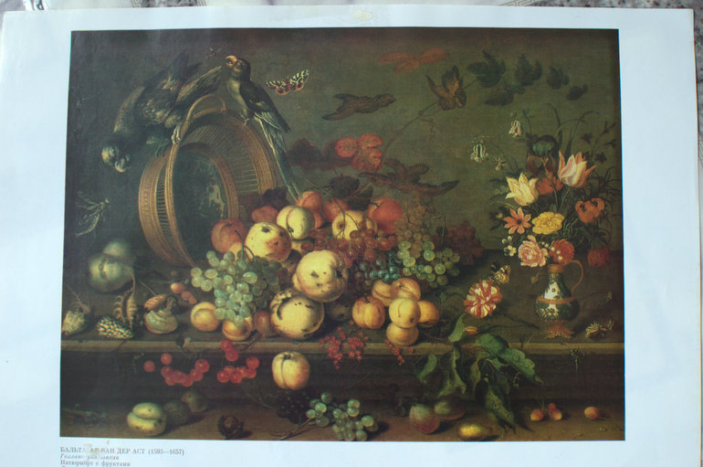 ТН "Ягоды". Смородина