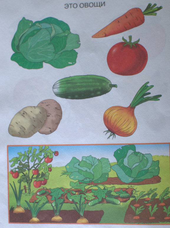 Готовим брускетту