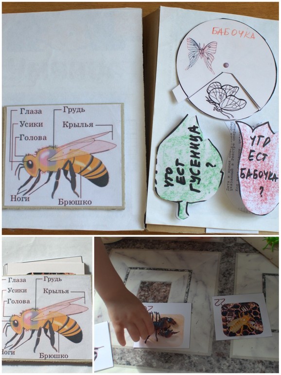 Экологический проект. 5 глава. Бумажкины