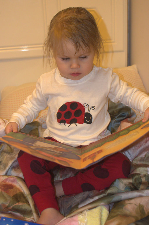 ТН Насекомые. 4 день (божья коровка)