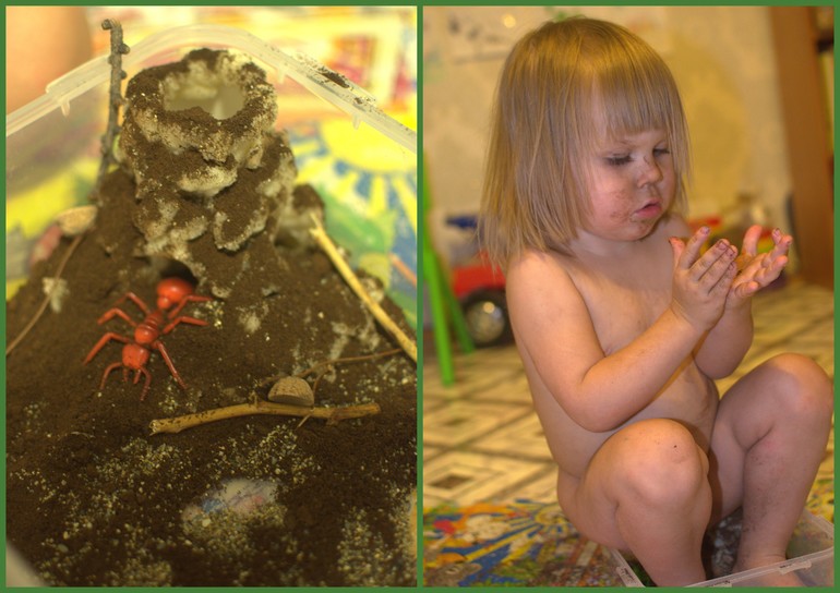 ТН Насекомые. 2 день (стрекоза и муравей)