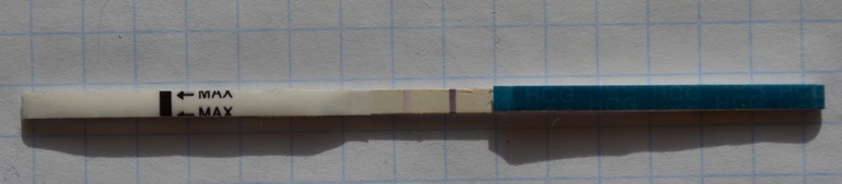 Тесты на берем. реагентят на средства для похудения