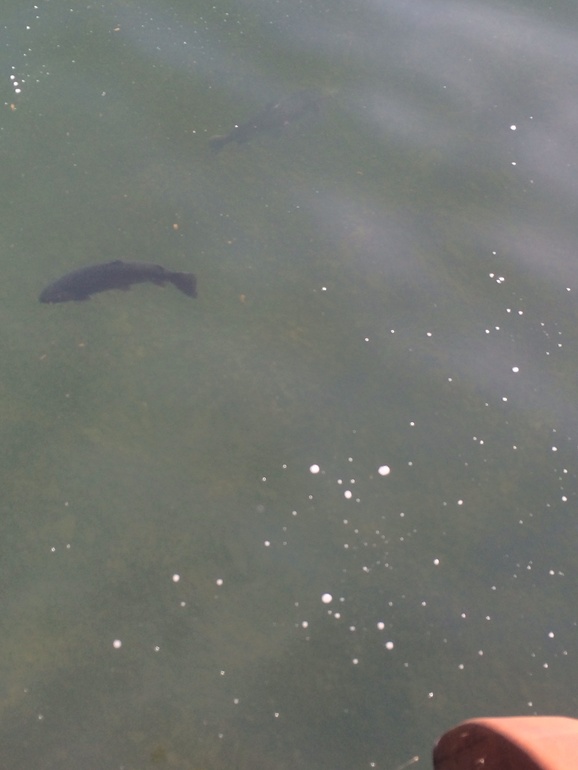 Отдых на майские!!!!