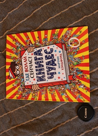 Книга про Волли: попробуй найди)