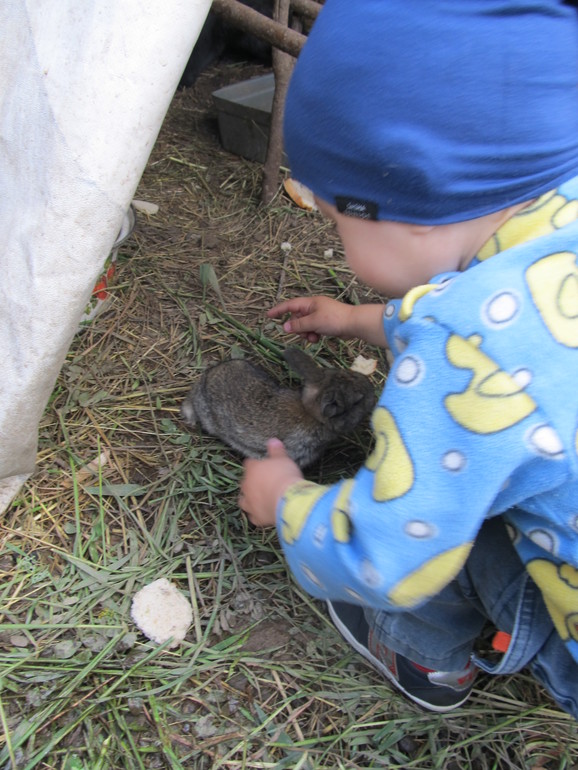 ватутинские фоточки . лучше поздно, чем никогда ))