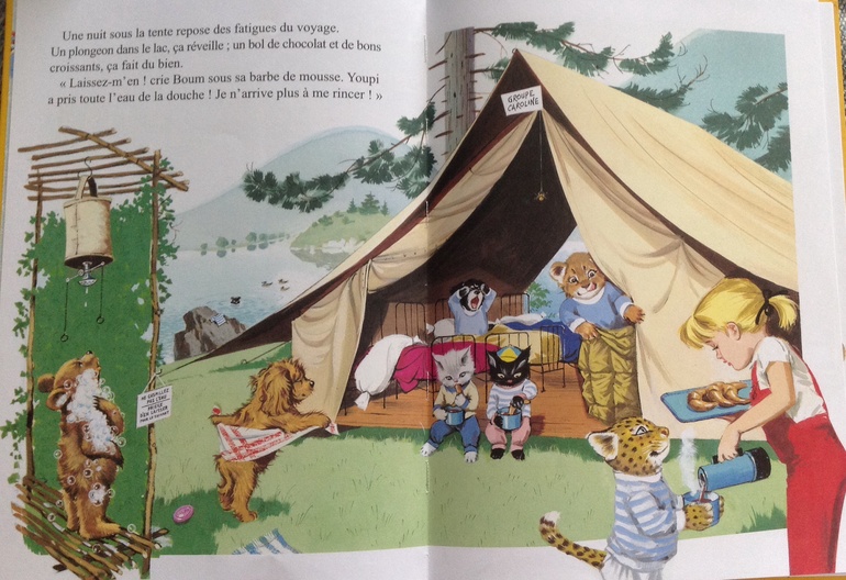 Серия книг про Каролин и ее питомцев- из Франции