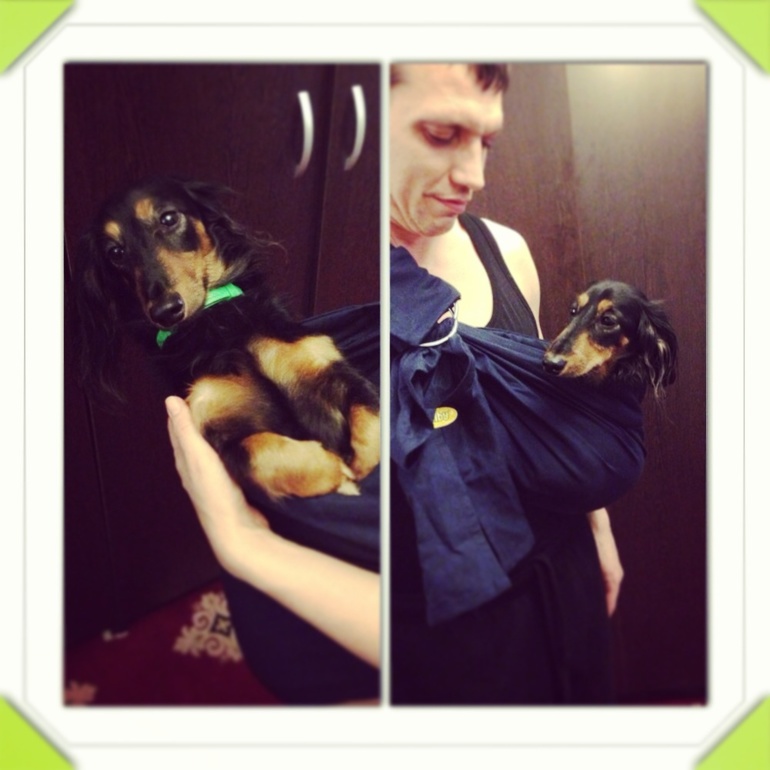 А мы купили слинг!