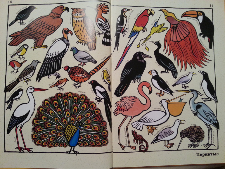 Такие разные животные. Жоэль Жоливе