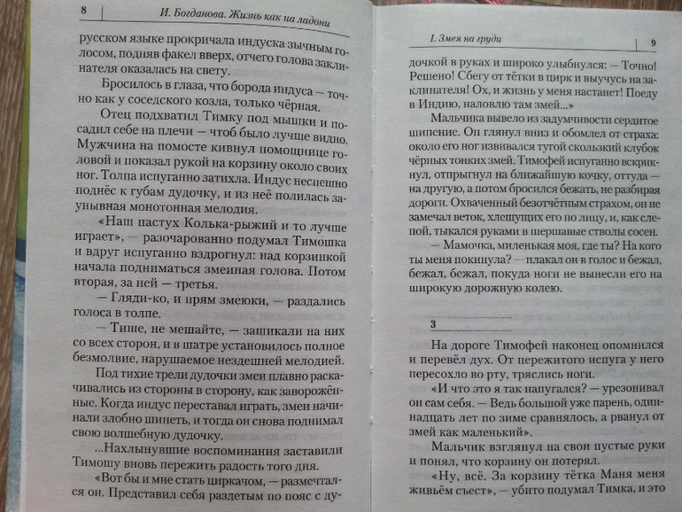 Дневник читателя за этот учебный год. 12 лет.
