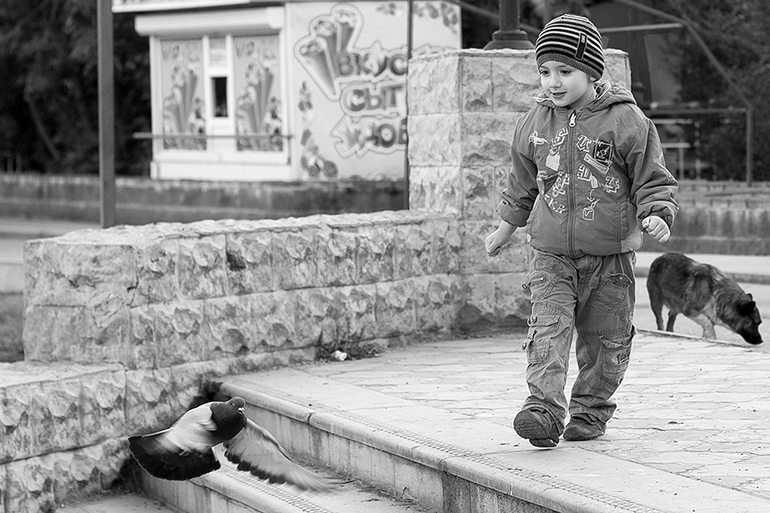 Наше сибирское лето .